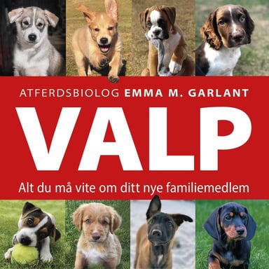 Omslag av "VALP - Alt du må vite om ditt nye familiemedlem"