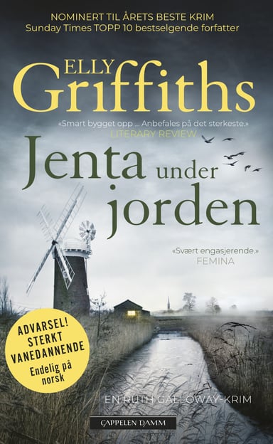 Omslag av "Jenta under jorden"