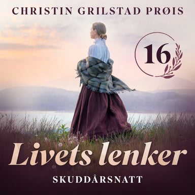 Omslag av "Skuddårsnatt"