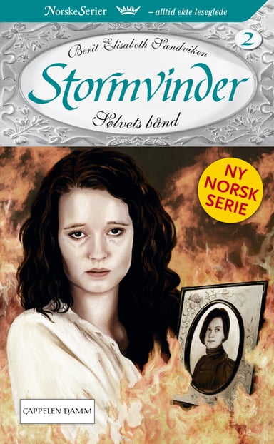 Omslag av "Sølvets bånd"