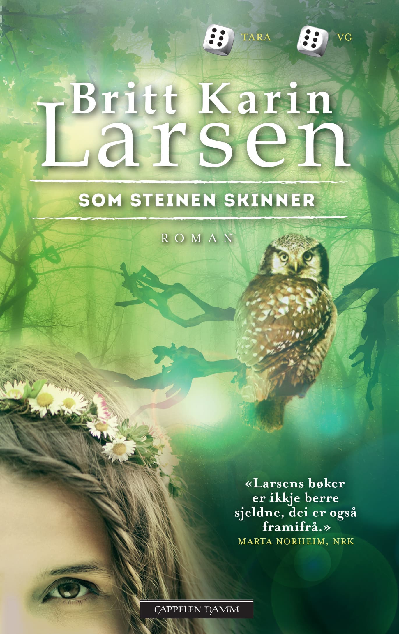 Omslag Som steinen skinner av Britt Karin Larsen (Heftet)