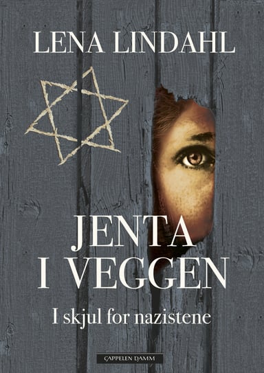 Omslag av "Jenta i veggen"