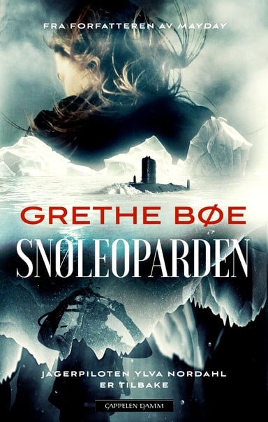 Omslag av "Snøleoparden"