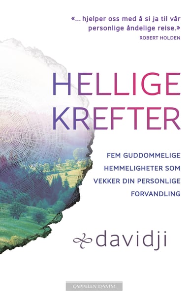 Omslag av "Hellige krefter"