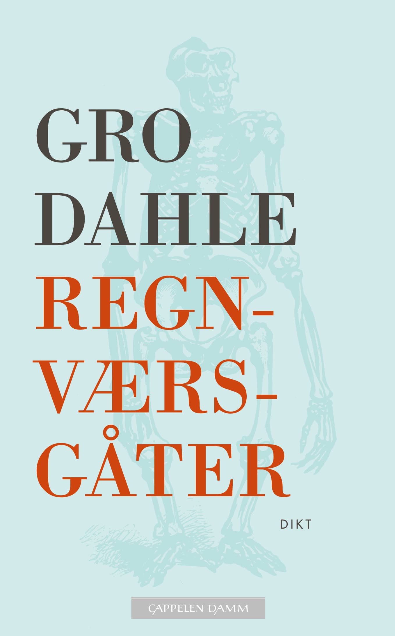 Omslag Regnværsgåter av Gro Dahle (Heftet)