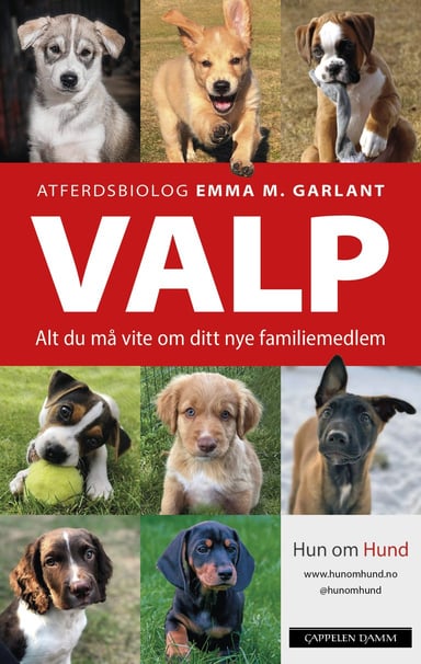 Omslag av "VALP"