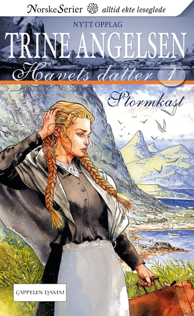 Omslag av "Stormkast"