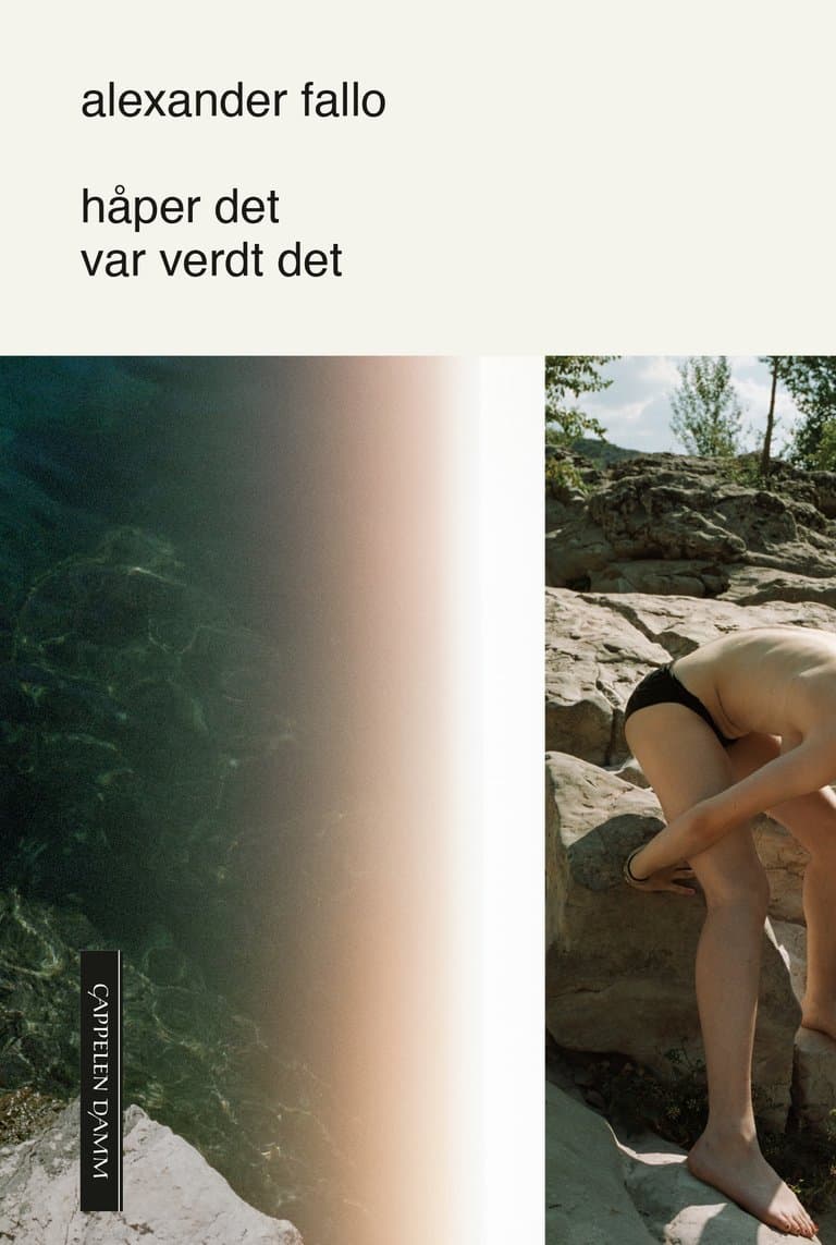 Omslag håper det var verdt det av Alexander Fallo (Innbundet)