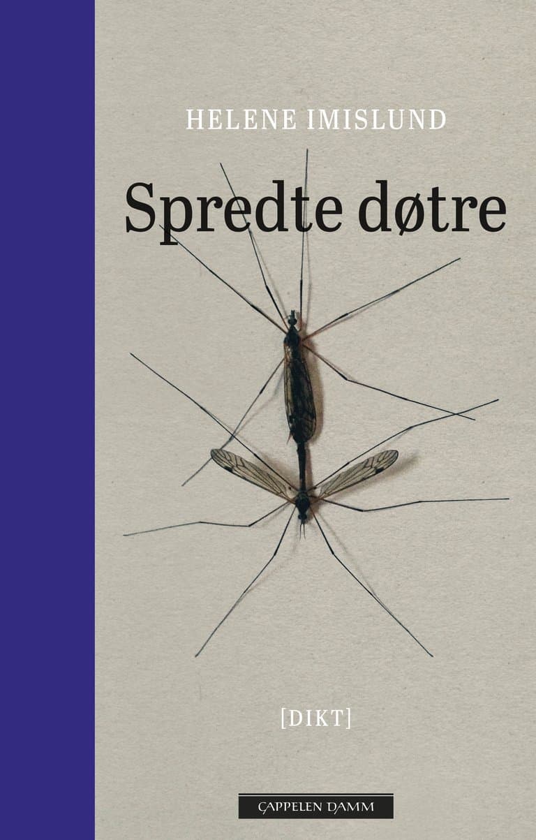 Omslag Spredte døtre av Helene Imislund (Innbundet)