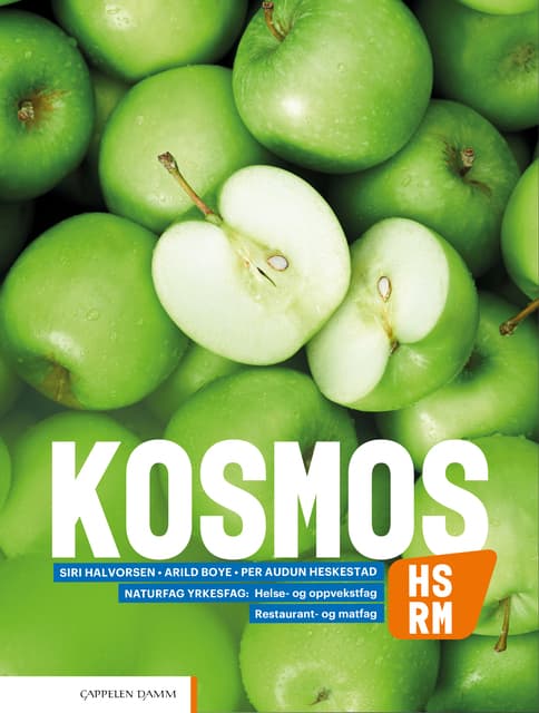 Omslag Kosmos HS, RM (2020) av Siri Halvorsen, Arild Boye og Per Audun Heskestad (Heftet)
