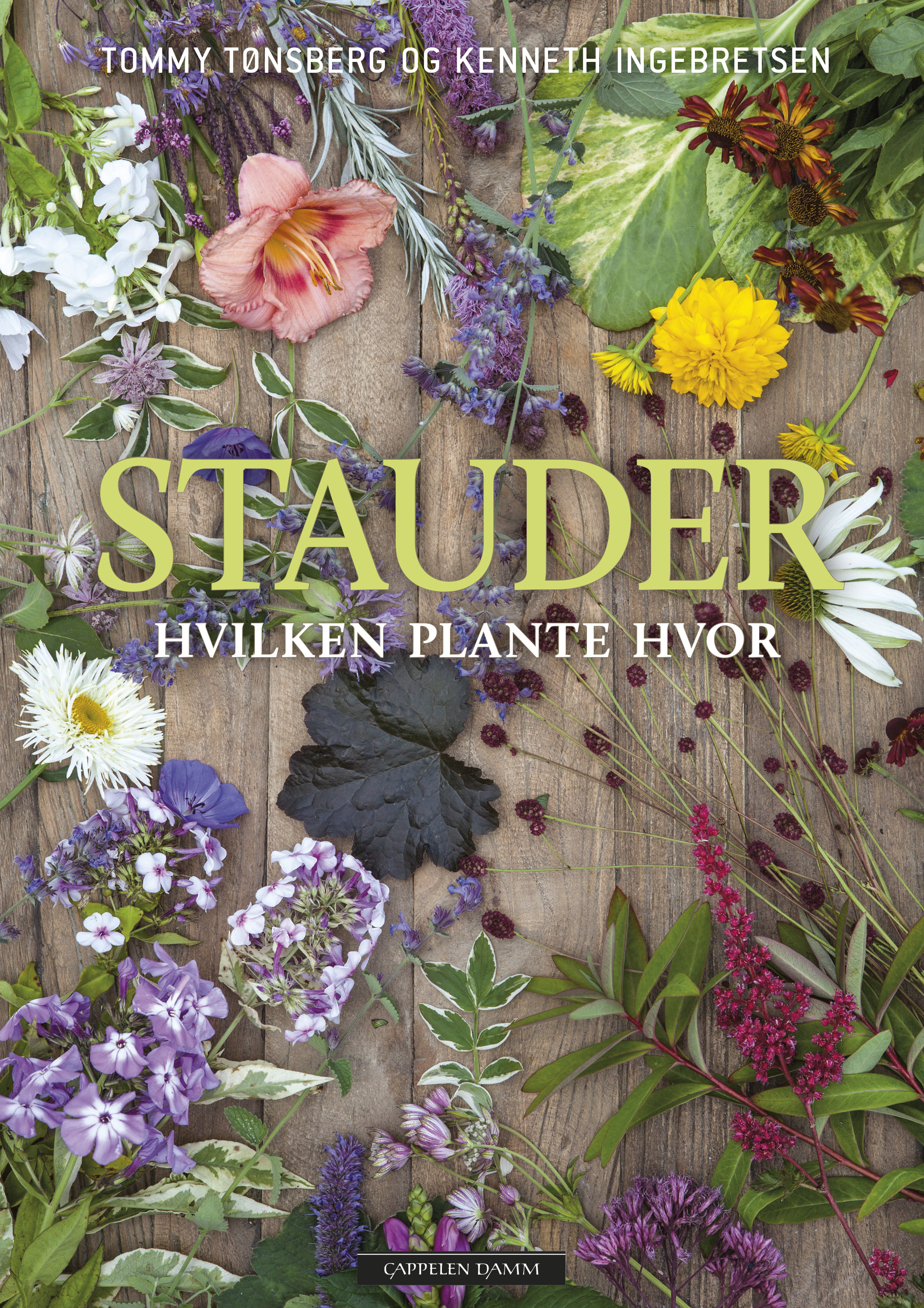 Stauder – plante hvor av Kenneth Ingebretsen - interiør hage | Cappelen Damm