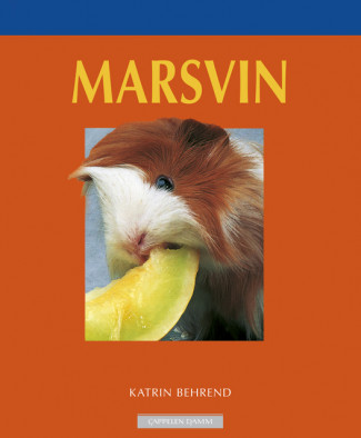 Marsvin av Katrin Behrend (Heftet)