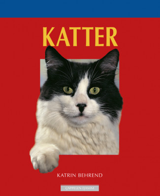 Katter av Katrin Behrend (Heftet)