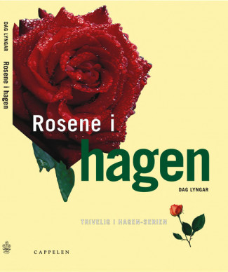 Rosene i hagen av Dag Lyngar (Innbundet)