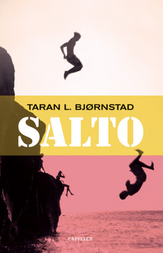 Salto av Taran L. Bjørnstad (Innbundet)