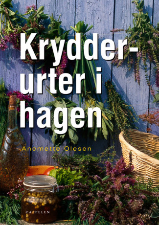 Krydderurter i hagen av Anemette Olesen (Innbundet)