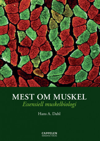 Mest om muskel av Hans A. Dahl (Heftet)