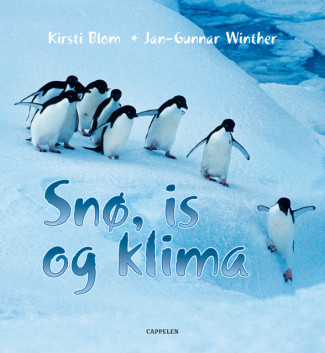 Snø, is og klima av Kirsti Blom (Innbundet)