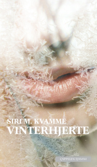 Vinterhjerte av Siri M. Kvamme (Heftet)
