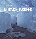 Norske isbreer av Olav Orheim (Innbundet)