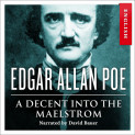 A Descent into the Maelström av Edgar Allan Poe (Nedlastbar lydbok)