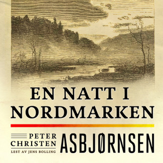 En natt i Nordmarken av Peter Christen Asbjørnsen (Nedlastbar lydbok)