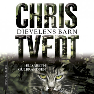 Djevelens barn av Chris Tvedt og Elisabeth Gulbrandsen (Nedlastbar lydbok)
