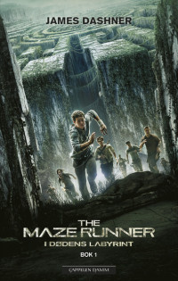 The maze runner. Bok 1. I dødens labyrint
