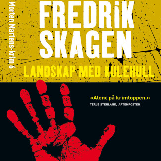 Landskap med kulehull av Fredrik Skagen (Nedlastbar lydbok)