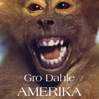 Amerika av Gro Dahle (Nedlastbar lydbok)