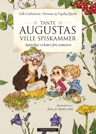 Tante Augustas ville spiskammer av Edle Catharina Norman og Vigdis Hjorth (Innbundet)