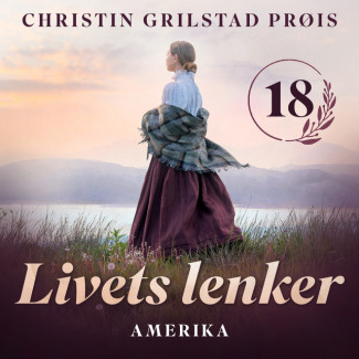 Amerika av Christin Grilstad Prøis (Nedlastbar lydbok)