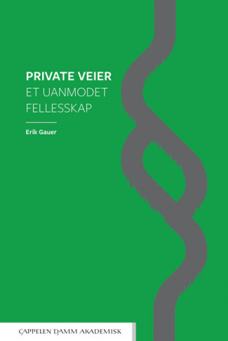 Private veier av Erik Gauer (Innbundet)