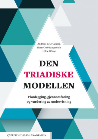Den triadiske modellen av Andreas Reier Jensen, Hans Otto Ringereide og Hilde Witsø (Heftet)