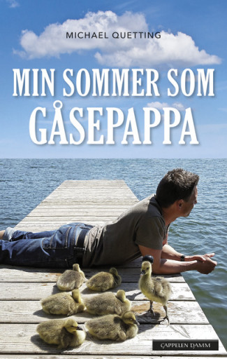 Min sommer som gåsepappa av Michael Quetting (Ebok)