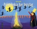 Pulverheksa har bursdag av Ingunn Aamodt (Innbundet)