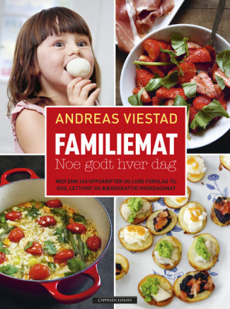 Familiemat - noe godt hver dag av Andreas Viestad (Innbundet)