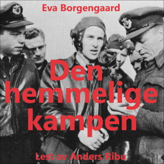 Den hemmelige kampen av Eva Borgengaard (Nedlastbar lydbok)