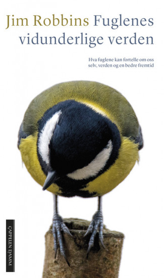 Fuglenes vidunderlige verden av Jim Robbins (Heftet)
