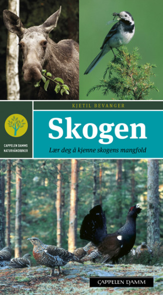 Skogen av Kjetil Bevanger (Heftet)