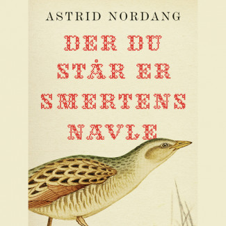 Der du står er smertens navle av Astrid Nordang (Nedlastbar lydbok)