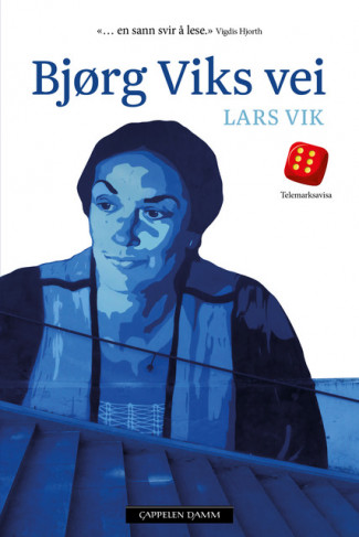 Bjørg Viks vei av Lars Vik (Innbundet)