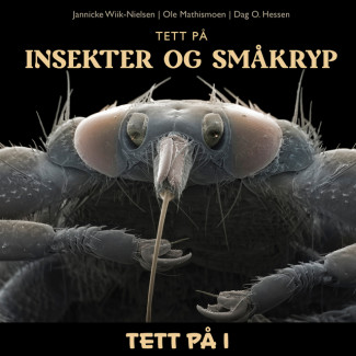 Tett på insekter og småkryp av Jannicke Wiik-Nielsen, Dag O. Hessen og Ole Mathismoen (Nedlastbar lydbok)
