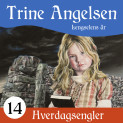 Lengselens år av Trine Angelsen (Nedlastbar lydbok)