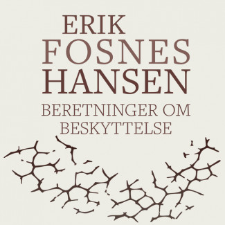 Beretninger om beskyttelse av Erik Fosnes Hansen (Nedlastbar lydbok)