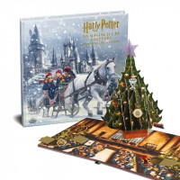Harry Potter julekalender : En magisk jul på Galtvort