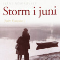Storm i juni av Irène Némirovsky (Nedlastbar lydbok)