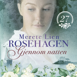 Gjennom natten av Merete Lien (Nedlastbar lydbok)