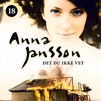 Det du ikke vet av Anna Jansson (Nedlastbar lydbok)