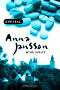 Sommernatt - Maria Wern sommerspesial av Anna Jansson (Ebok)